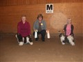 20081012 Sundsvall 006.jpg