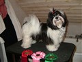 20081208 Meja 9 mån 023.jpg